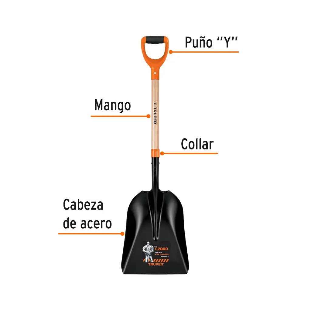 Características