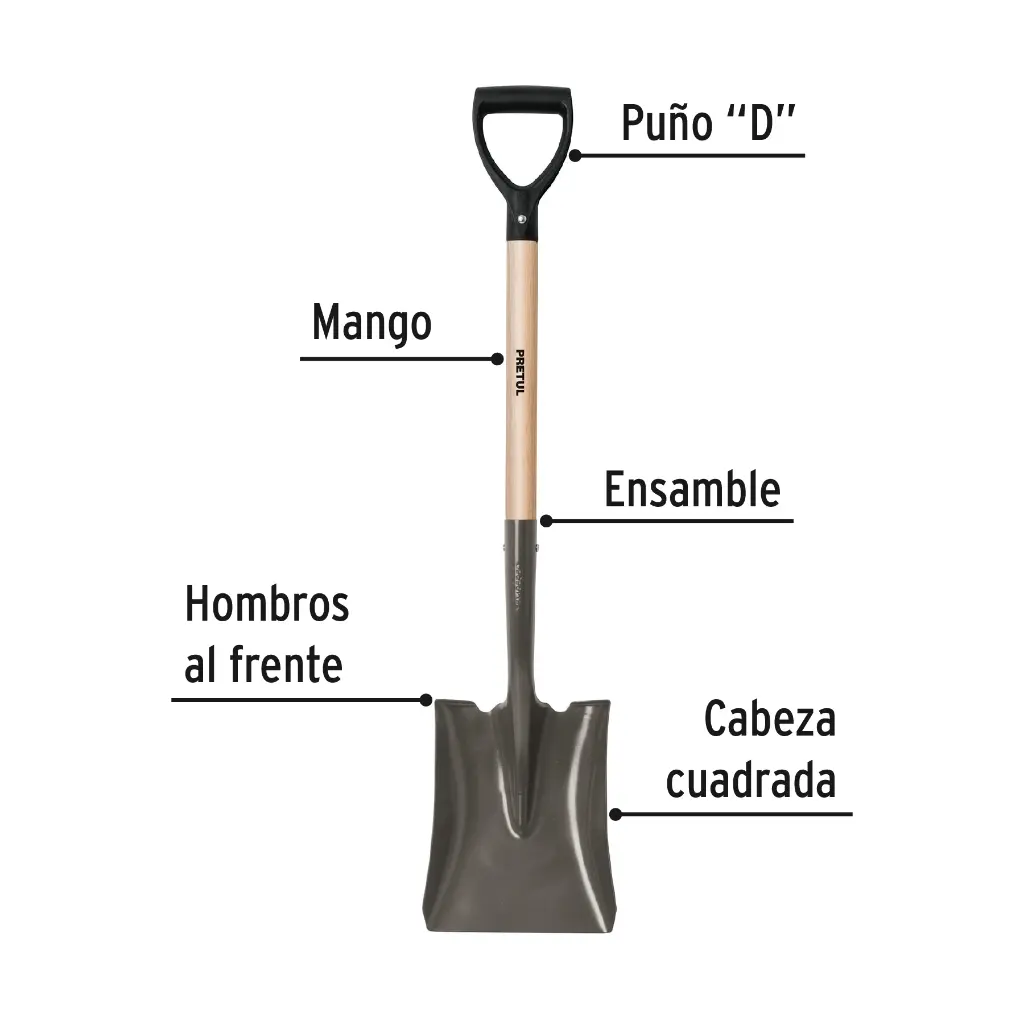 Características