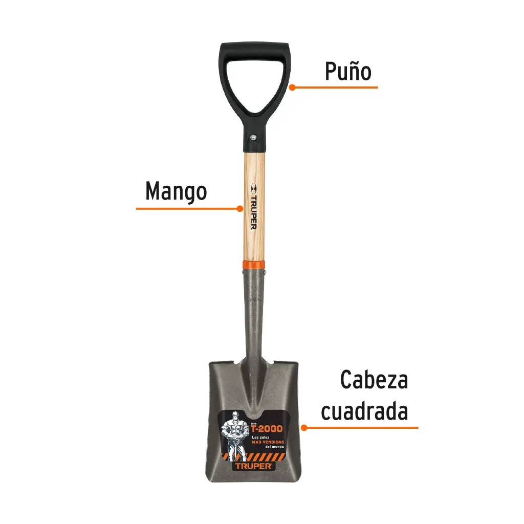 Características