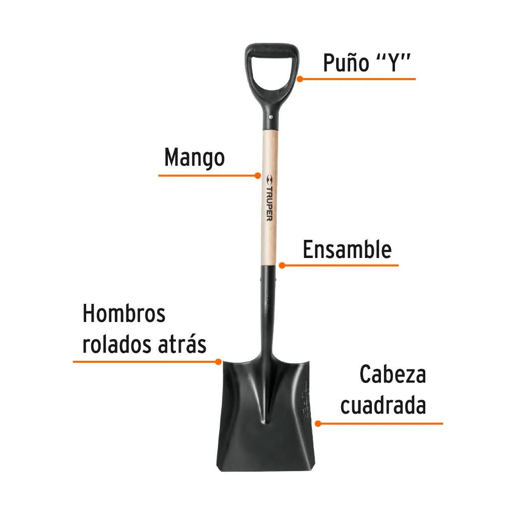 Características