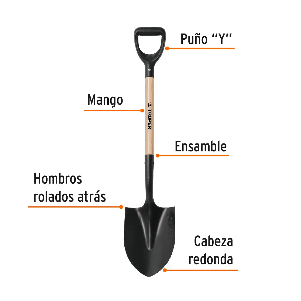 Características