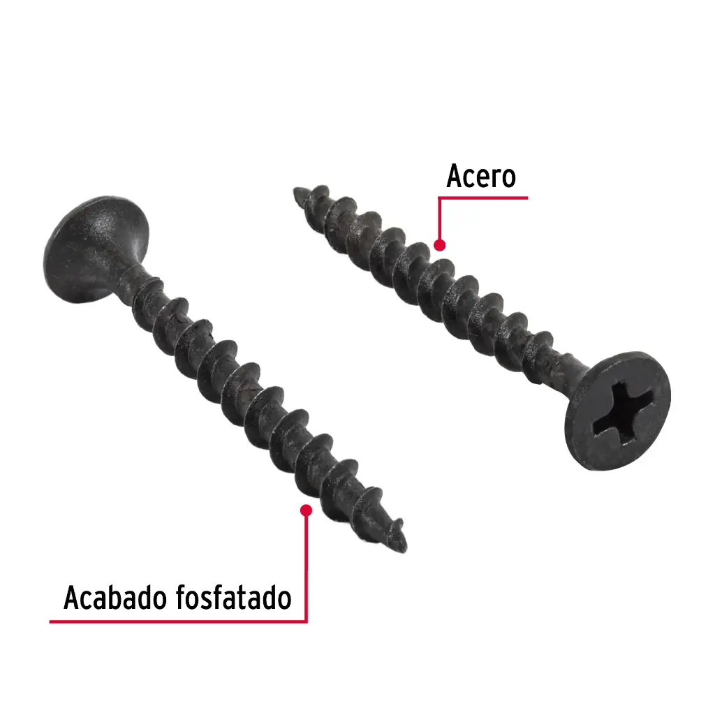 Características