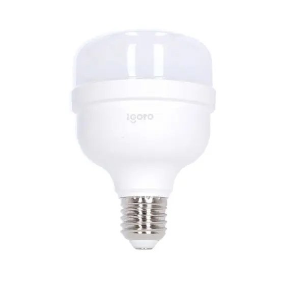 Foco/Lámpara LED De 20 W, Luz Fría, E27, Igoto [F10520]